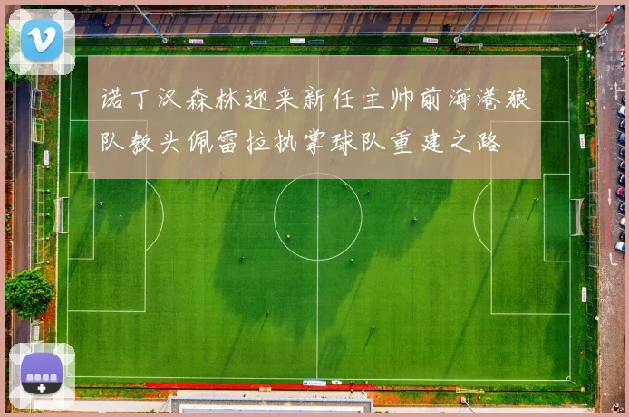 诺丁汉森林迎来新任主帅前海港狼队教头佩雷拉执掌球队重建之路