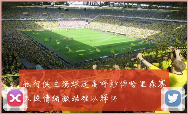 独行侠主场球迷高呼炒掉哈里森赛末段情绪激动难以释怀