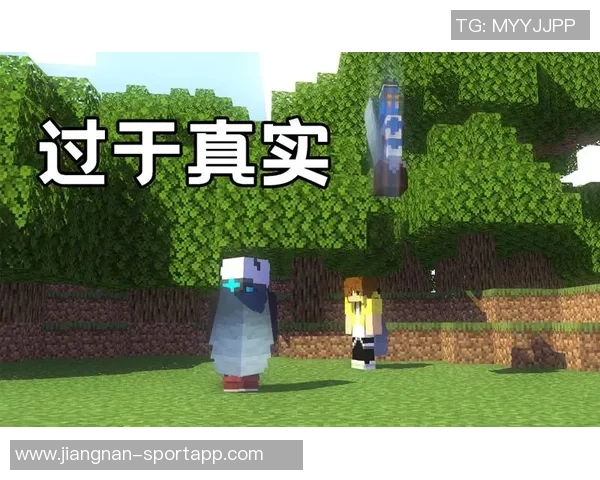 阿门分享与KD的默契配合与信任在场上的真实瞬间